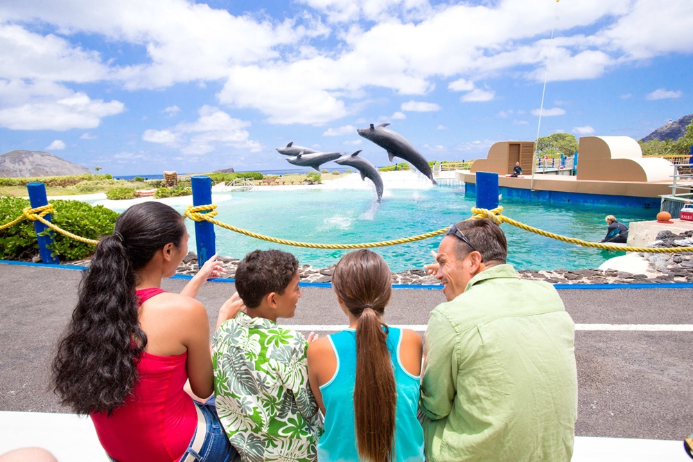 고 시티® 오하우 에센셜 패스