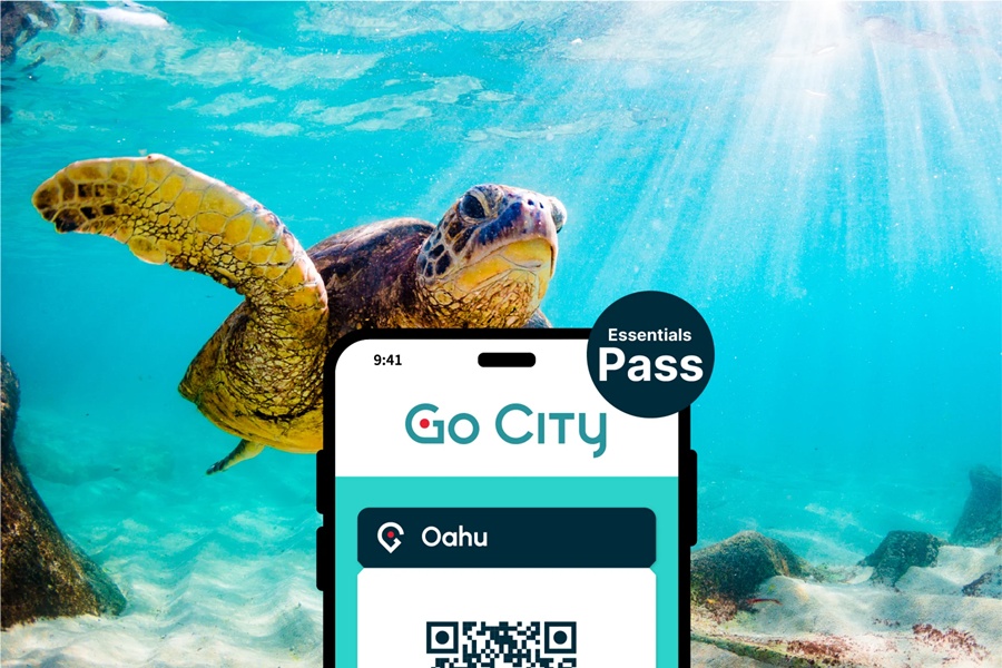 고 시티® 오하우 에센셜 패스