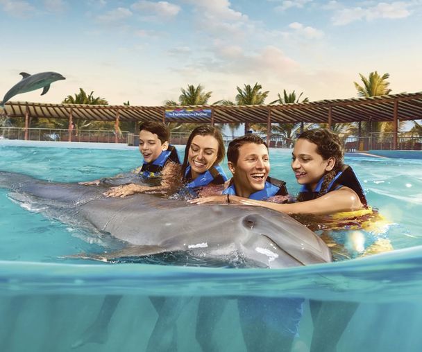 activity_detail_image