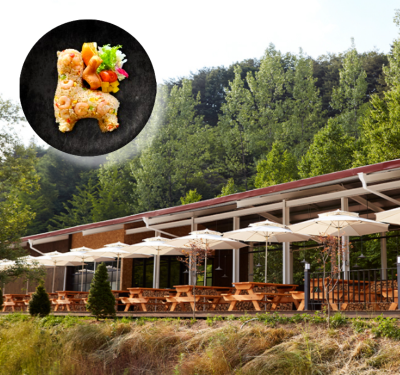 Gangwon Hongcheon Alpaca World Ticket