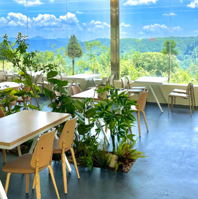 Gangwon Hongcheon Alpaca World Ticket