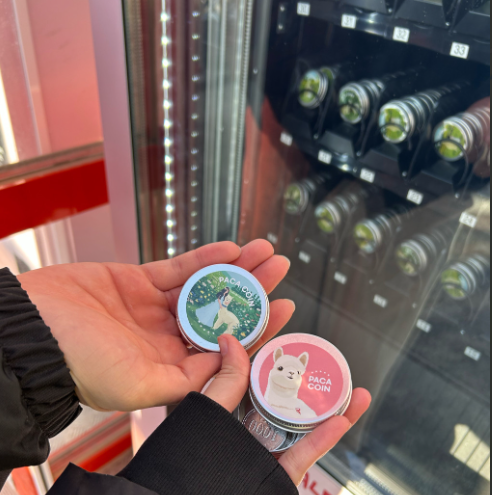 Gangwon Hongcheon Alpaca World Ticket