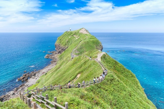 [엔데이트립] 삿포로 오타루&닛카 위스키 샤코탄 호헤이쿄온천 소규모 투어