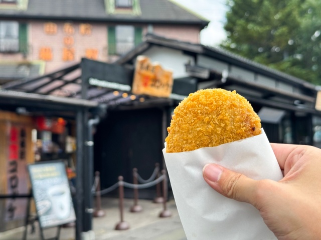 [와쿠와쿠] 후쿠오카 큐슈 4호선 히타 유후인 소도시 일일 투어