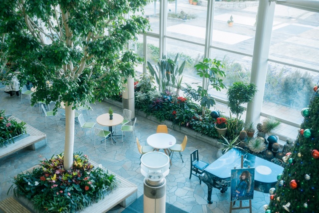 [와쿠와쿠] 오사카 출발: 효고현 히메지성 & 아와지시마, 유메부타이 4호선 투어