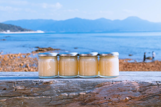 [와쿠와쿠] 후쿠오카 근교 큐슈 3호선 버스투어 - 이토시마 야자수 그네 소금푸딩 / 사가 가라쓰 타케오