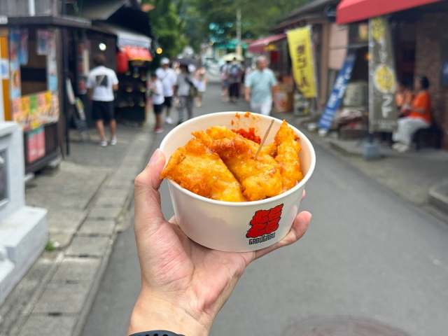 [와쿠와쿠] 큐슈 1호선 유후인, 벳푸, 다자이후 버스투어