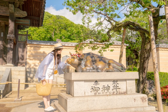 [와쿠와쿠] 큐슈 1호선 유후인, 벳푸, 다자이후 버스투어