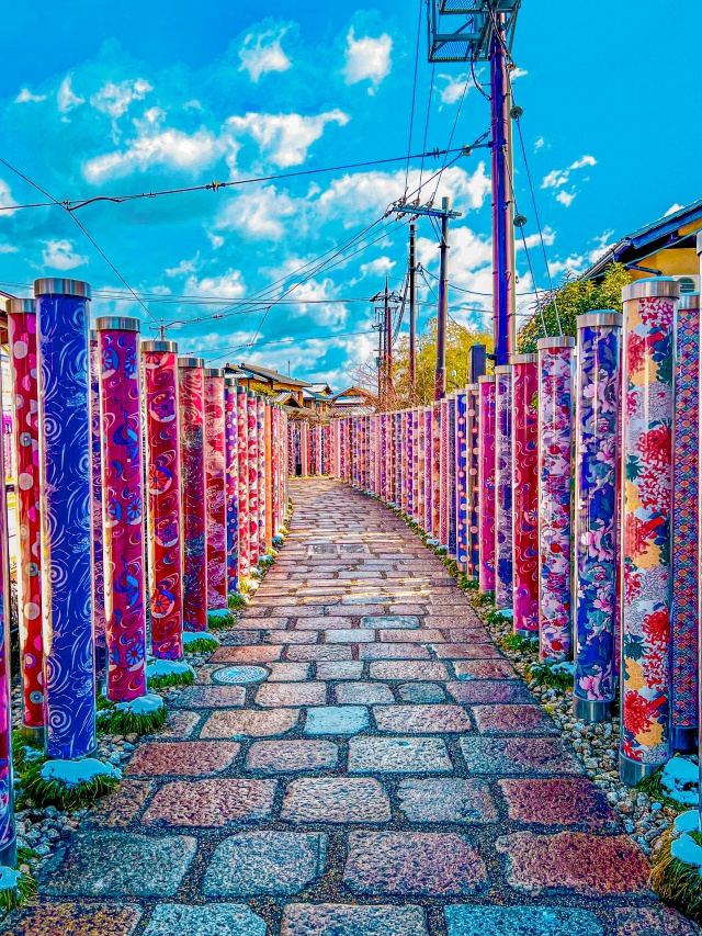 [와쿠와쿠] 교토 1호선 아라시야마 일일 버스투어