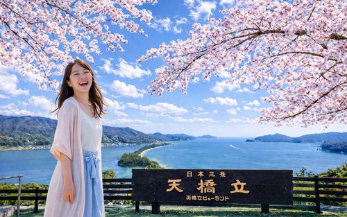 오사카 출발: 교토 아마노하시다테 & 이네후나야 일일 투어