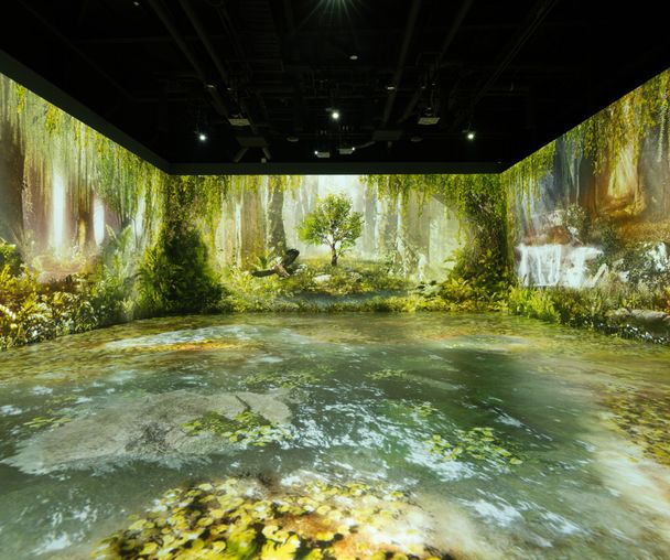 activity_detail_image