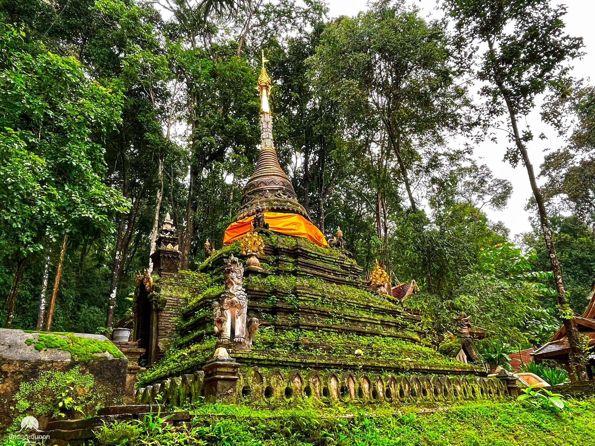 チェンマイ ドイステープ & モン族の村 トレッキングツアー (往復送迎付き)