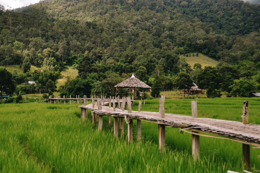 パーイの絶景スポット巡り ハイライト半日ジョイントツアー (往復送迎付き)
