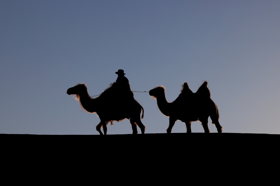 [하닥투어] [4박5일] 몽골 우기호수부터 사막, 테를지까지 한번에 만나는 투어