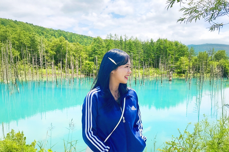 [와쿠와쿠프리미엄] 북해도 비에이 후라노 일일 버스투어 홋카이도 1호선 준페이 (29인승 VIP 리무진버스)