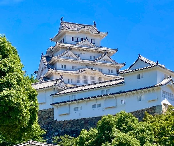 activity_detail_image