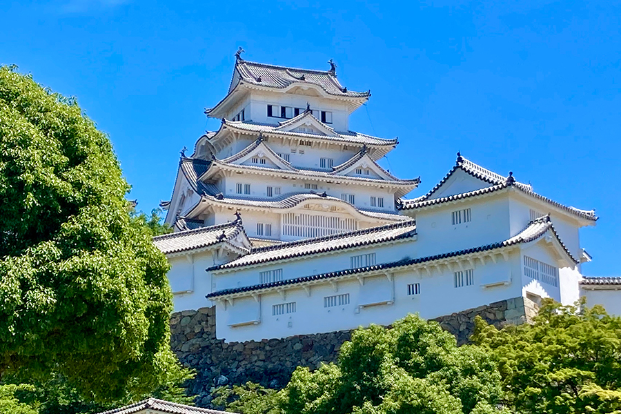[와쿠와쿠] 오사카 출발: 효고현 히메지성 & 아와지시마, 유메부타이 4호선 투어