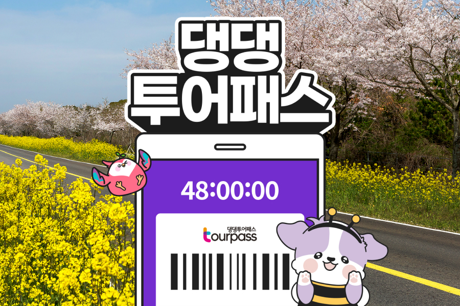 제주 댕댕투어패스 자유이용권 (24시간 / 48시간)