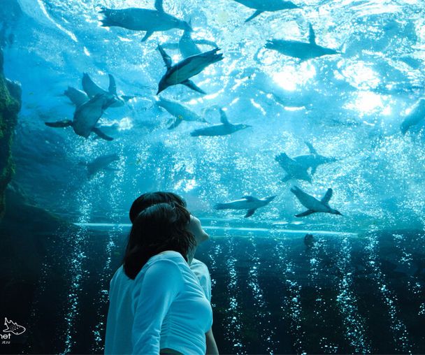 activity_detail_image