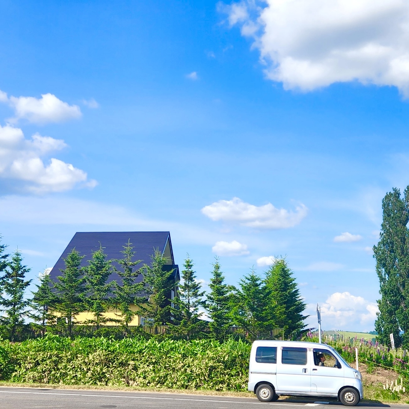 [마이재팬] 홋카이도 비에이 후라노 1일 프라이빗투어/소규모투어/한국인 드라이빙 가이드