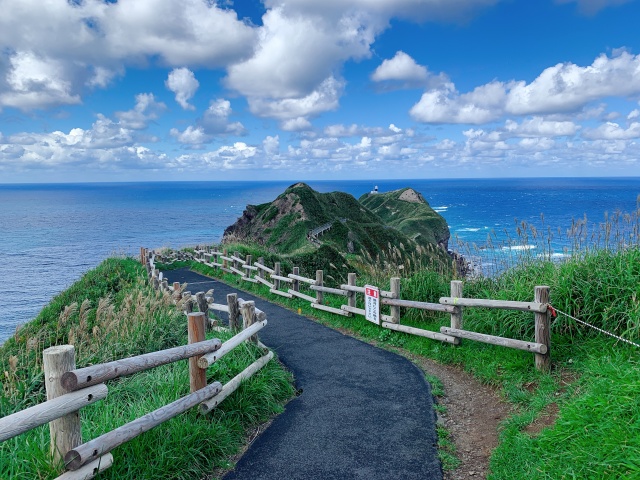 [엔데이트립] 삿포로 샤코탄 오타루 버스투어