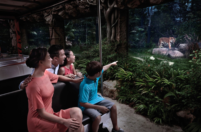 고 시티® 싱가포르 에센셜 패스