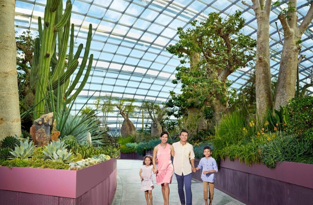 고 시티® 싱가포르 에센셜 패스