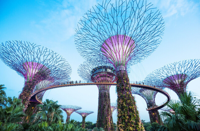 고 시티® 싱가포르 에센셜 패스