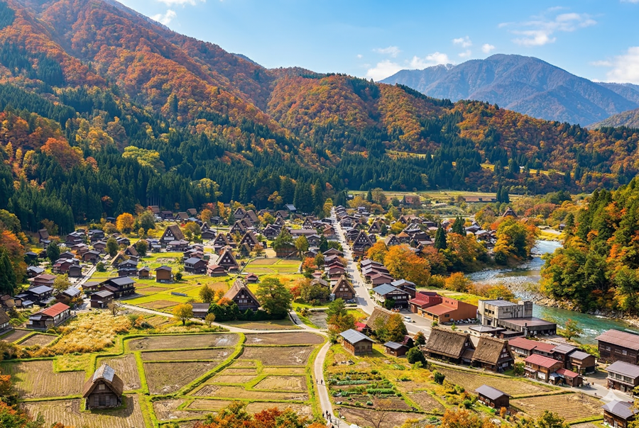 [Exclusive Discount] Nagoya Departure: Shirakawa-go & Takayama Day Tour (WAUG Exclusive)