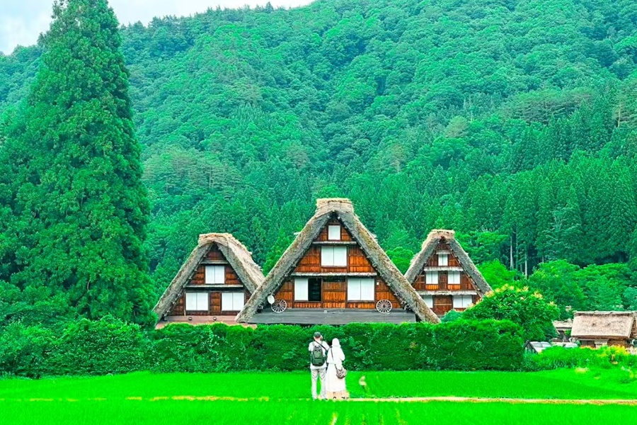 Nagoya Departure: Shirakawa-go & Takayama Bus Tour