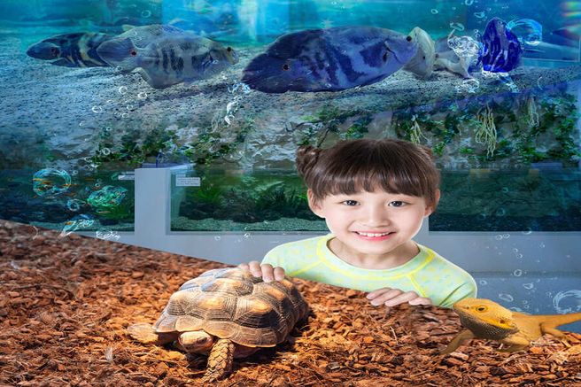 대구 아쿠아밸리 블루라운지 카페