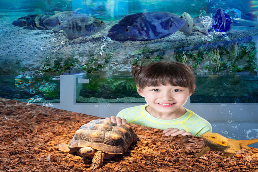 대구 아쿠아밸리 블루라운지 카페