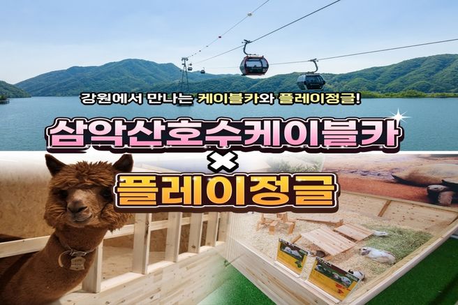 강원 춘천 삼악산 호수 케이블카 + 플레이정글 PKG