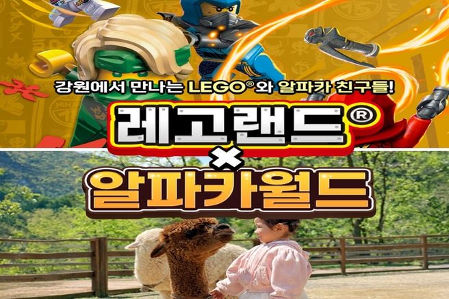 강원 춘천 레고랜드 + 홍천 알파카월드 패키지
