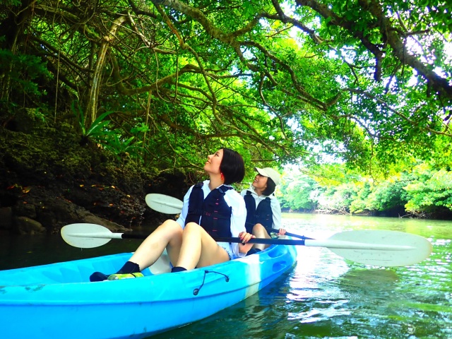 [독점할인] 이시가키 맹그로브 카누 투어