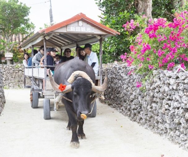 activity_detail_image