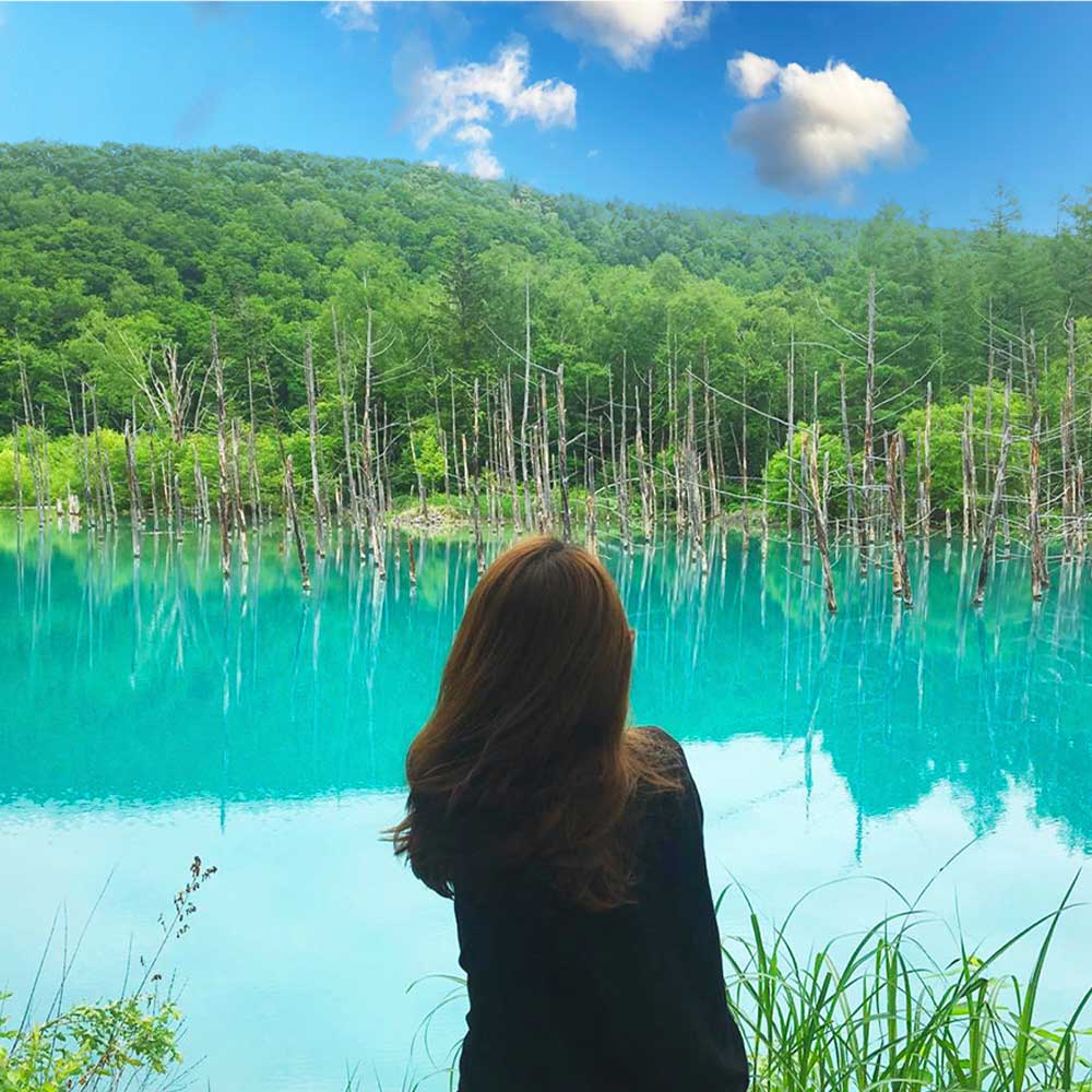 [유투어버스] 북해도 삿포로 비에이 & 후라노 일일 버스 투어