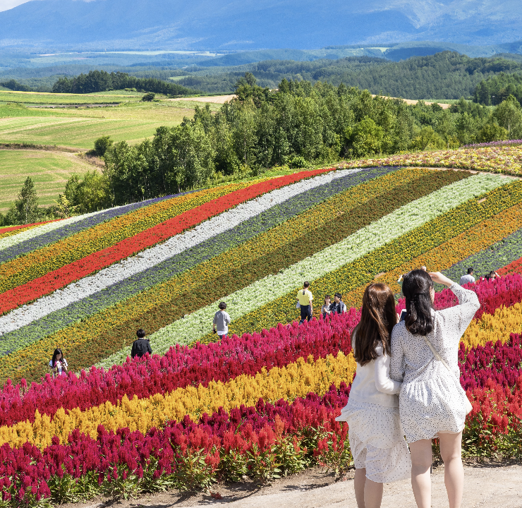 [유투어버스] 북해도 삿포로 비에이 & 후라노 일일 버스 투어
