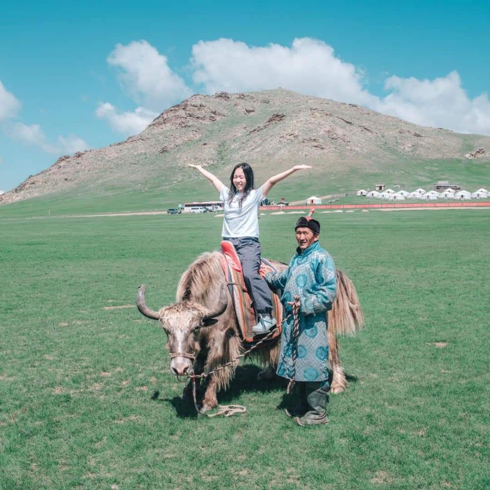 [노니투어] 몽골 초원 속 테를지 노마딕 라이프 일일 투어