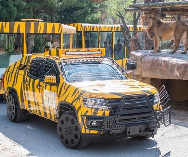 activity_detail_image