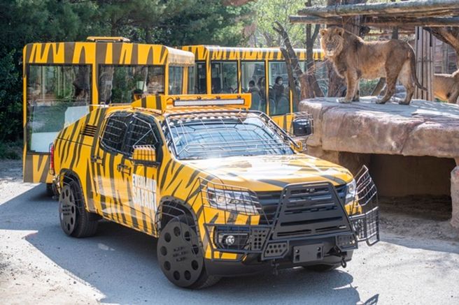 용인 에버랜드 자유이용권 (방문날짜 미지정)