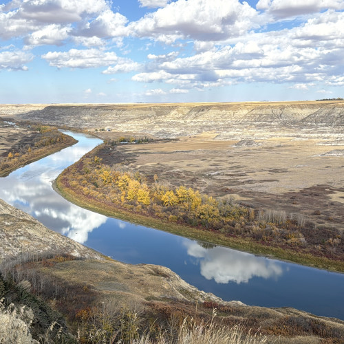 캘거리 근교 넷플릭스 화제 드라마 촬영지 일일 투어 (캘거리 크레센트 헤이츠 & 홀스슈 캐년·후두스 & 로열 티렐 박물관)