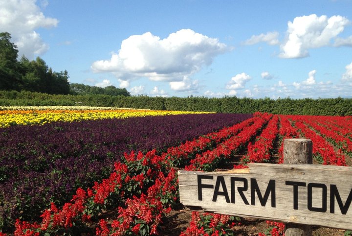 홋카이도 비에이 & 후라노 일일 버스 투어 - 준페이 식당 예약