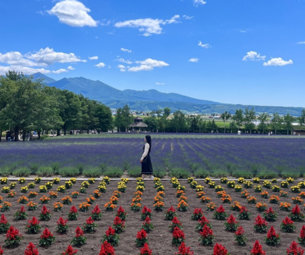 activity_detail_image