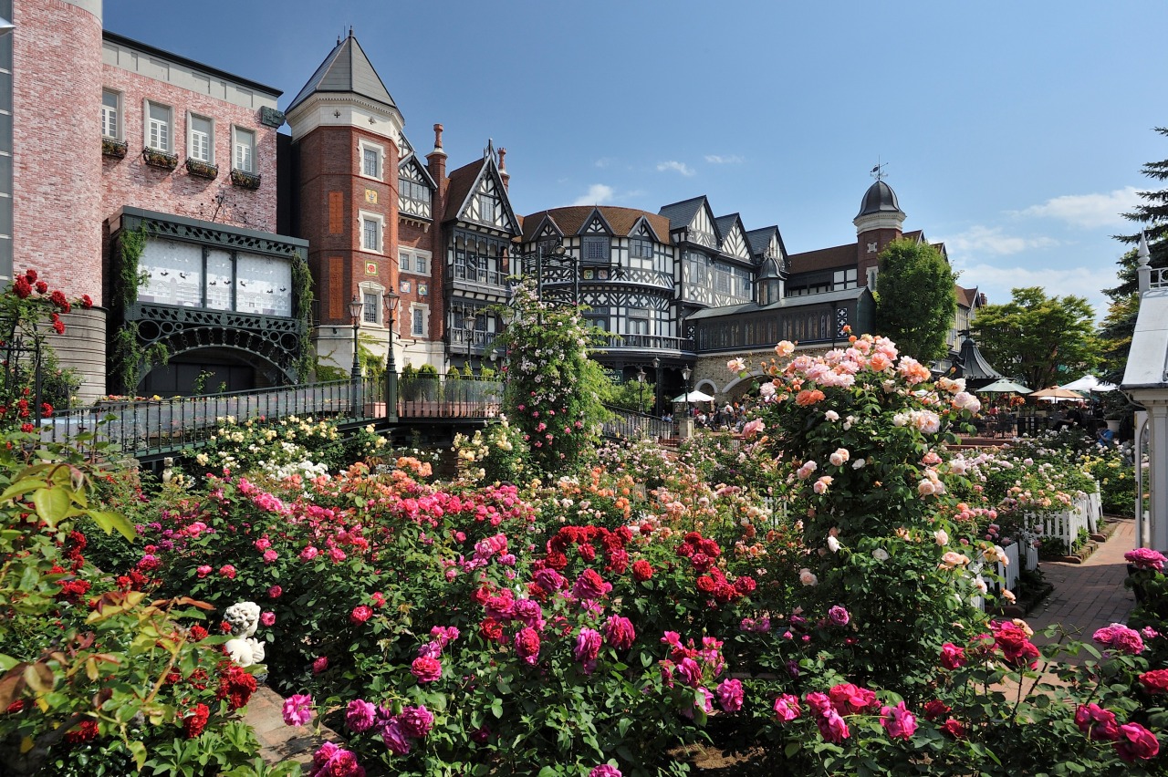 [독점할인] [하루하루투어] 삿포로 출발: 오타루 & 샤코탄 일일 투어