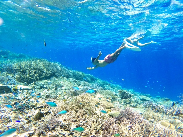 [독점할인] 미야코지마 이라부지마 사파이어 케이브 스노클링 투어