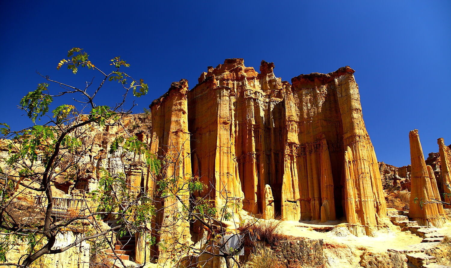중국 운남성에서 꼭 가봐야하는 토림 데이투어 (전용차량/한국어가이드 포함)