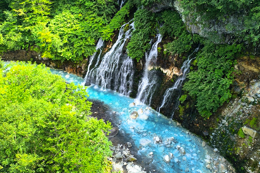 [흰그림자투어] 홋카이도 비에이 후라노 소규모 디럭스 일일투어
