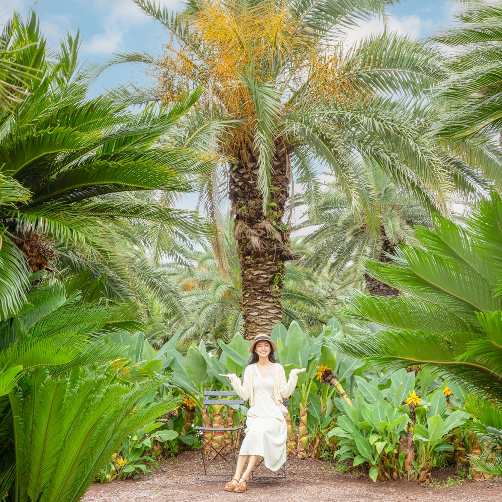 제주 애월 상가리야자숲 입장권