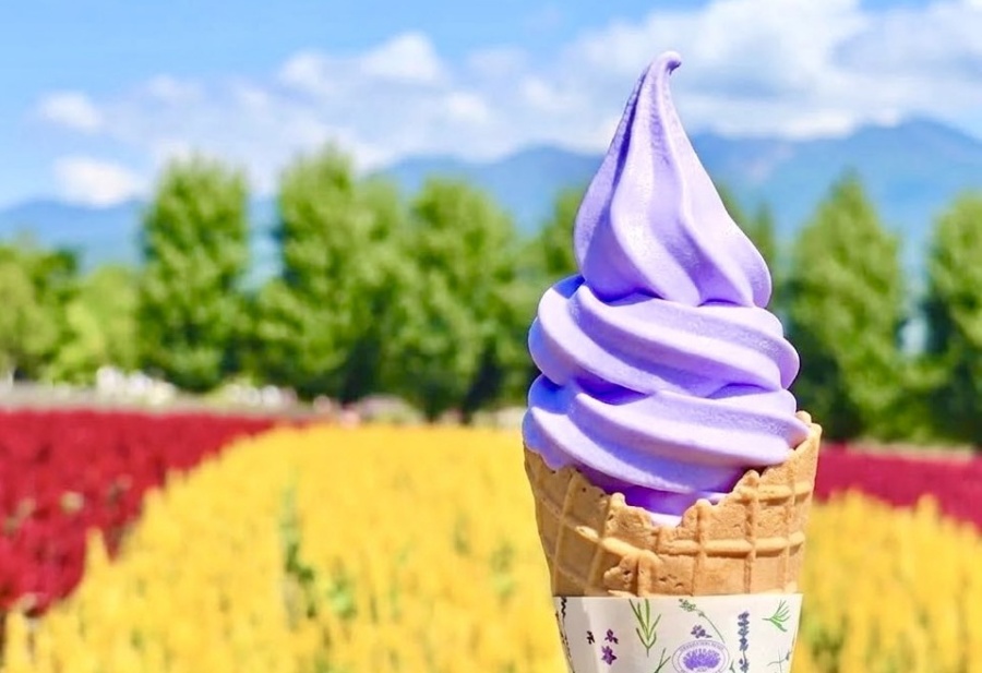 [마이재팬] 비에이 후라노 버스투어 / 넉넉한 체류시간 / 호텔런치로 여유있게 / 하차2곳